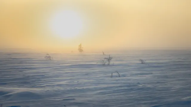 Фото: Фёдор Воронов / «Ямал-Медиа»