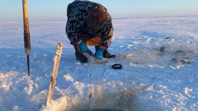 Едэй нядˮмадоʼ ӈадимда