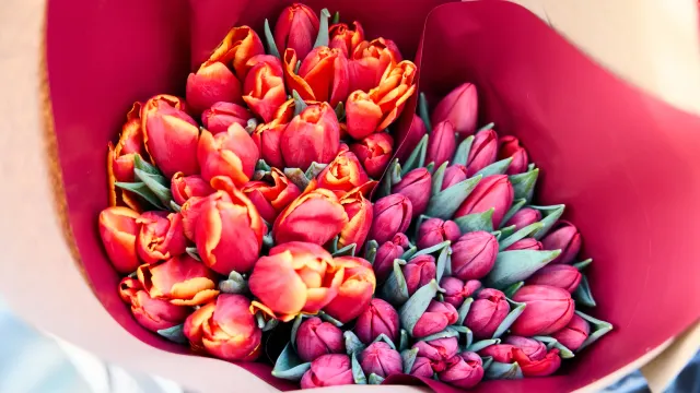 Тюльпаны всегда на пике популярности. Фото: Юрий Здебский / «Ямал-Медиа»