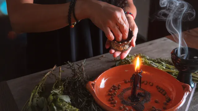 Фото: Ariadna Cortes / Shutterstock / Fotodom