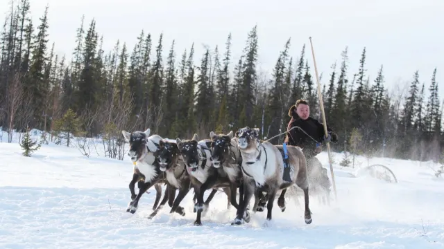 Фото: Марина Яр