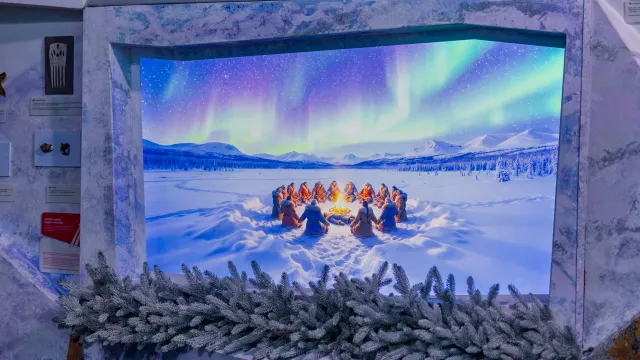 Фото: Фёдор Воронов / «Ямал-Медиа»