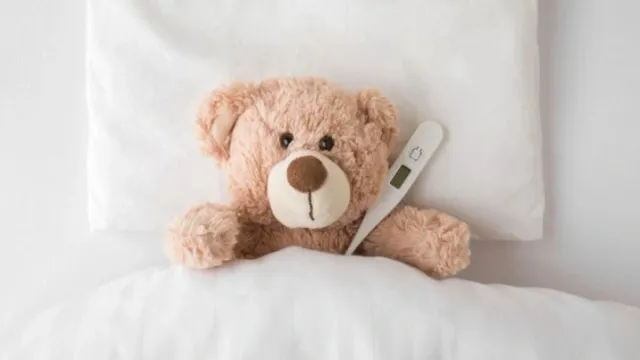 Фото: FotoDuets/Shutterstock/Fotodom