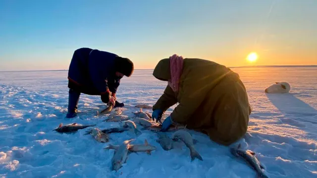 Фото: Марина Яр/ Няръяна Ӈэрм