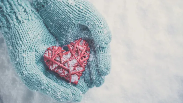 Фото: StudioSmart / shutterstock.com / Fotodom