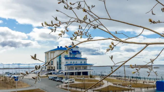 Фото: Фёдор Воронов / «Ямал-Медиа»