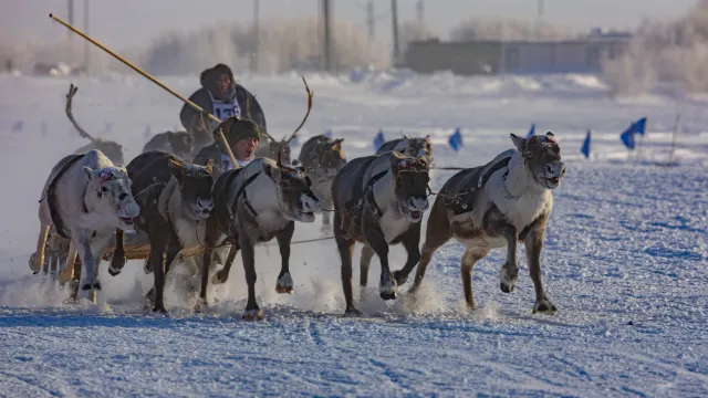 Фото: Никита Погодин / «Ямал-Медиа»