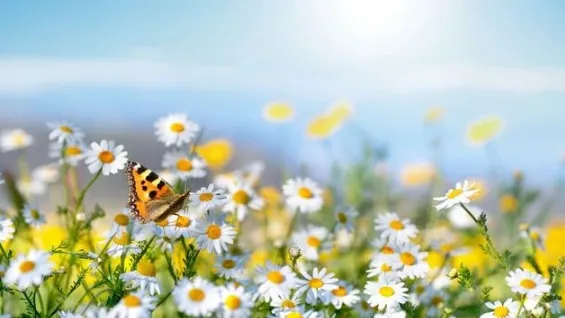 Фото: LedyX/Shutterstock/Fotodom