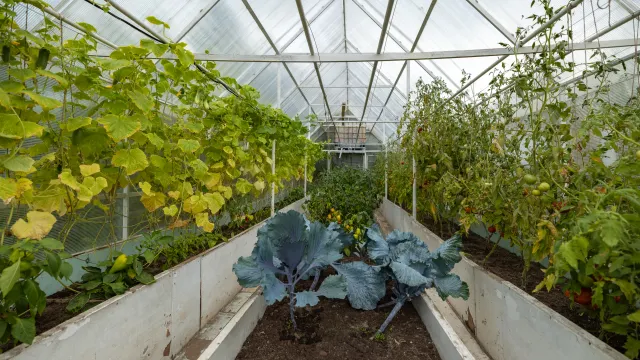 Фото: Сергей Зубков / «Ямал-Медиа»