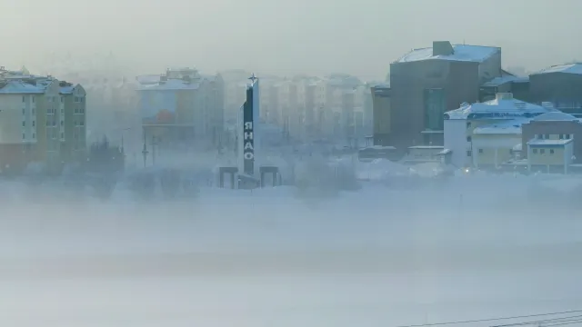 Фото: Андрей Ткачёв / «Ямал-Медиа»