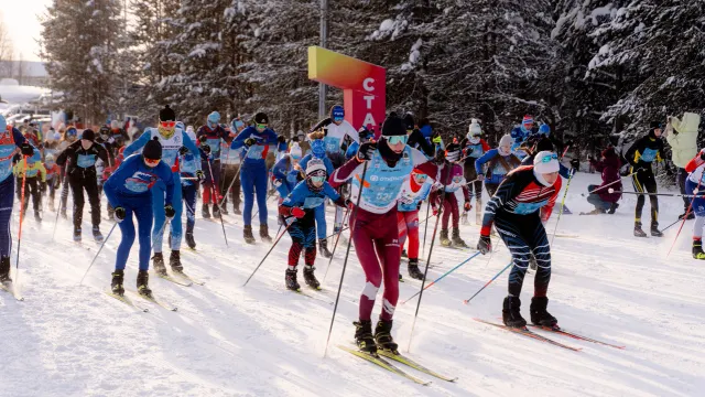 Фото: Елена Вишневская / пресс-служба губернатора ЯНАО