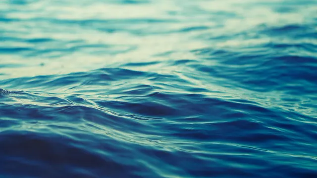 Фото: mycteria/Shutterstock/Fotodom