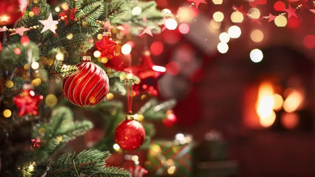 Год Красной Огненной Лошади наступит 17 февраля 2026 года. Фото: Pasko Maksim / Shutterstock / Fotodom