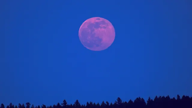 Фото: pr2is/Shutterstock/Fotodom