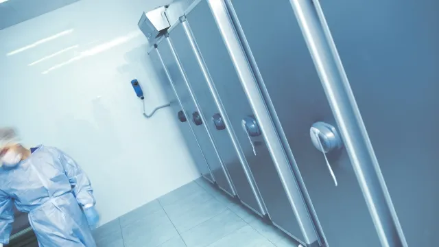 Фото: sfam_photo/Shutterstock/Fotodom