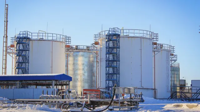 Фото: Марьяна Коляджин/ Администрация Пуровского района