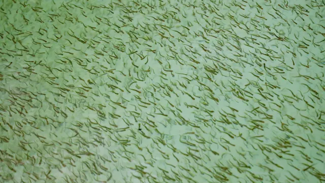 Фото: Василий Петров / «Ямал-Медиа»