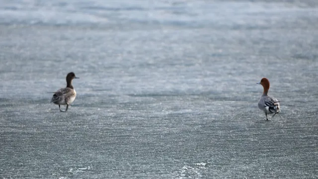 Выход на лед водоема всегда опасен. Фото: Фёдор Воронов / "Ямал-Медиа"
