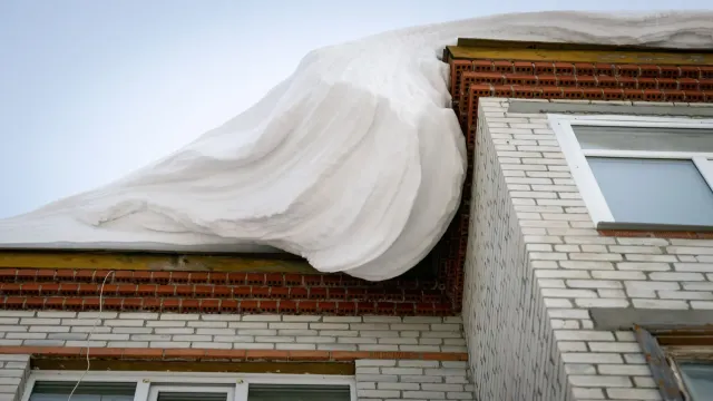 Фото: Фёдор Воронов / «Ямал-Медиа»