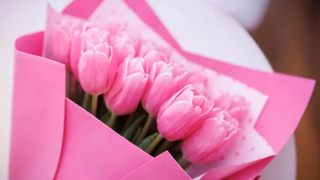 Фото: Юлия Чудинова / «Ямал-Медиа»