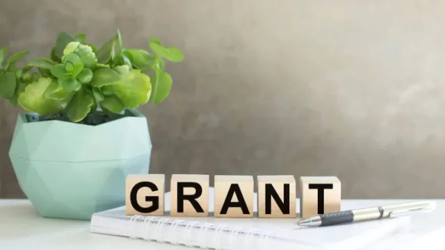Фото: Volha Barysevich/Shutterstock/Fotodom