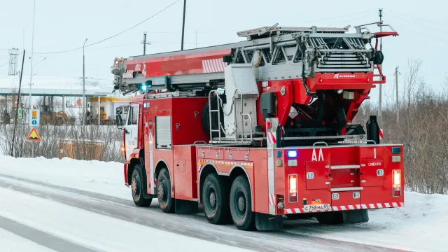 Фото: Фёдор Воронов / «Ямал-Медиа»