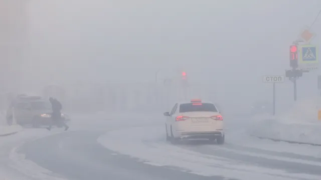 Фото: Андрей Ткачёв / «Ямал-Медиа»