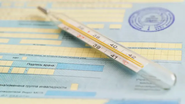 Фото: Melnikov Dmitriy / Shutterstock / Fotodom