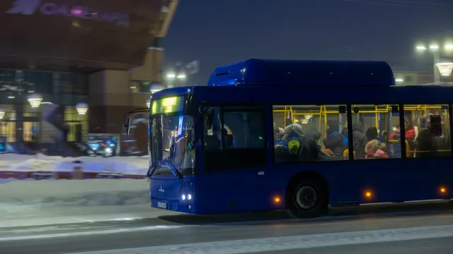 Фото: Фёдор Воронов / «Ямал-Медиа»