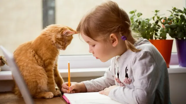 Фото: Sharomka/Shutterstock/Fotodom