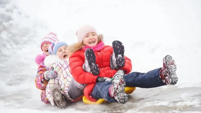 30 ноября полагается «укатывать» зиму на санках. Фото: Dmitry Kalinovsky/Shutterstock/Fotodom