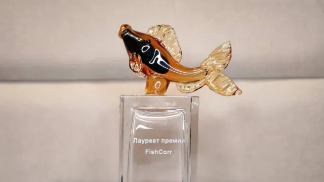 Фото: Рената Атаева / «Ямал-Медиа»