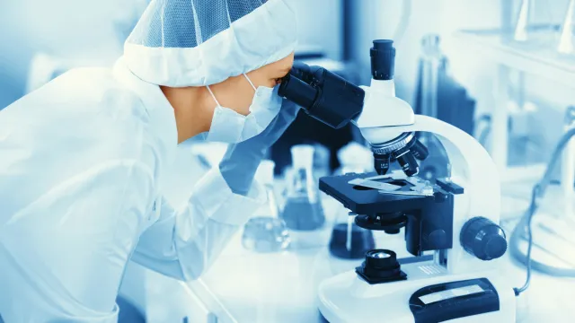 Фото: Cast Of Thousands / Shutterstock / Fotodom