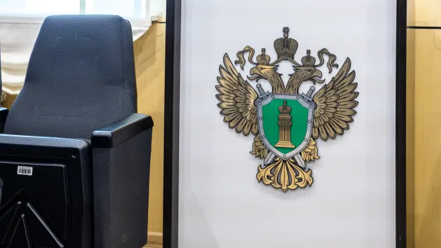 Фото: Фёдор Воронов / «Ямал-Медиа»