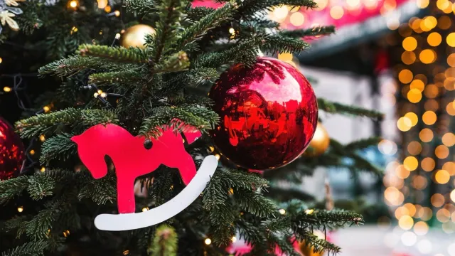 Фото: PhotoJuli86/Shutterstock/Fotodom