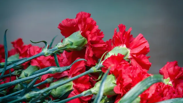 Ребята пообещали и впредь следить за состоянием кладбища. Фото: Kaichankava Larysa / shutterstock / Fotodom