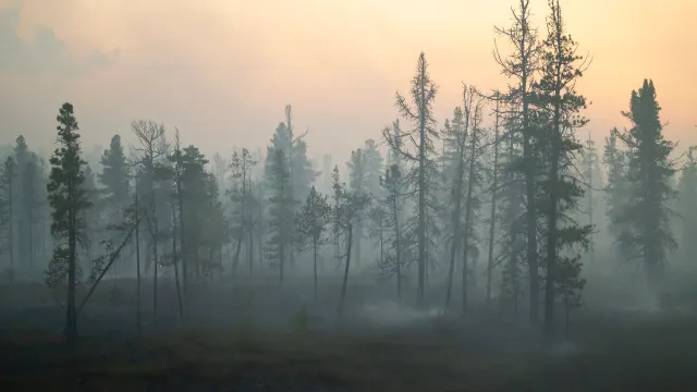 Фото: Андрей Понамарёв / «Ямал-Медиа»