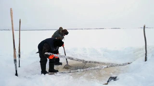 Планӆаӆ тэкаптасӆаӆ, хуӆӆаӆ масӆаӆ. Хор: Альбина Тырлина
