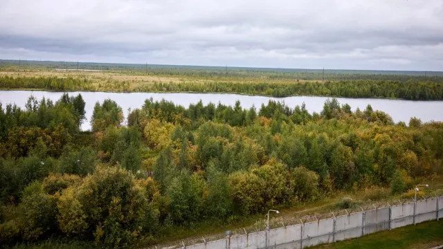 Фото: Юрий Здебский / «Ямал-Медиа»