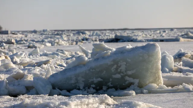 Фото: Сергей Зубков / «Ямал-Медиа»