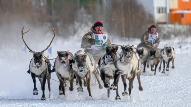 На надымской земле проходит самый яркий День оленевода. Фото: предоставлено пресс-службой губернатора ЯНАО