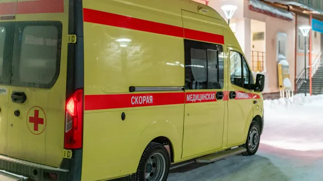 Фото: Сергей Зубков / «Ямал-Медиа»