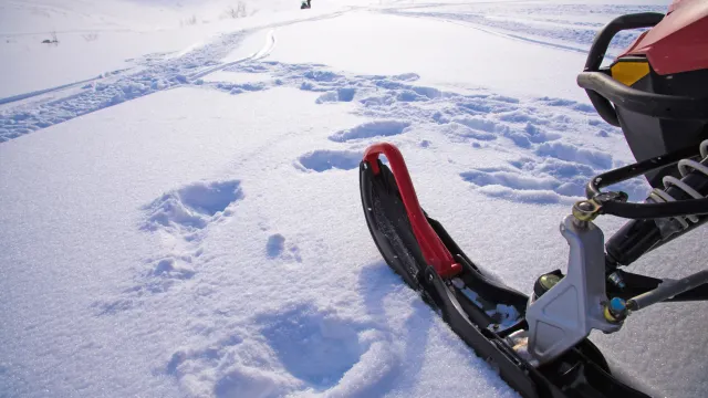 Фото: Natasha-Aleksandra / Shutterstock / Fotodom