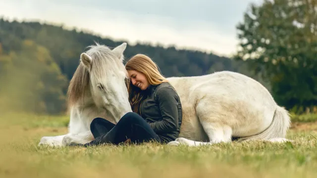 Фото: Annabell Gsoedl/Shutterstock/Fotodom