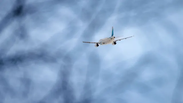 Фото: Фёдор Воронов / «Ямал-Медиа»