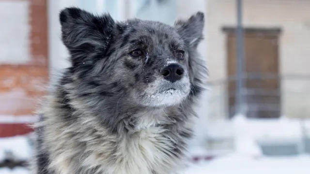 Фото: Фёдор Воронов / "Ямал-Медиа"