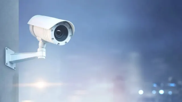 Фото: ImageFlow/Shutterstock/Fotodom