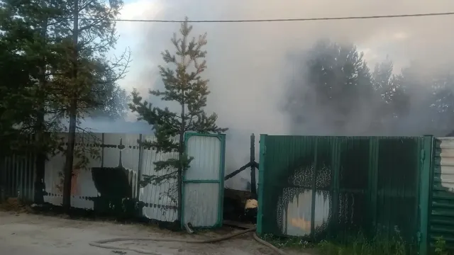 Пожар в дачном поселке в Муравленко 2 июля. Фото: ЕДДС Муравленко