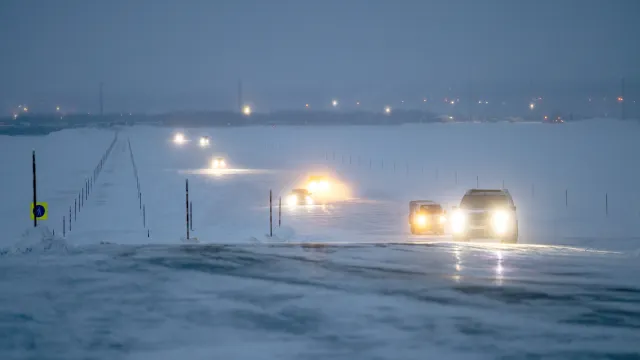 Фото: Фёдор Воронов / «Ямал-Медиа»