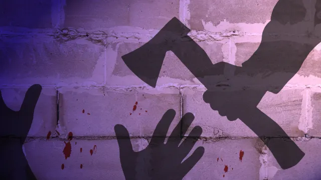 Фото: PT Pictures / Shutterstock / Fotodom